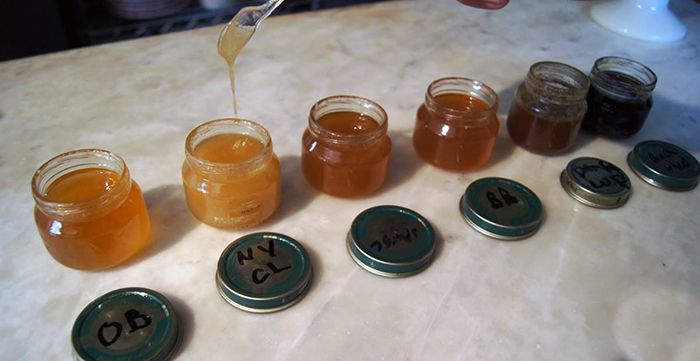 Contrastando los distintos tonos y estilos de la miel / Foto cortesía de American Honey Tasting Society