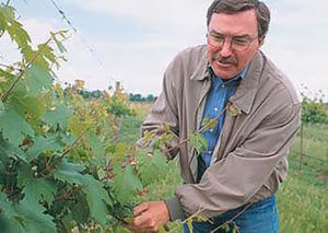 Die Legende Mike Grgich hat Geburtstag, David Stares Dry Creek Vineyard hat die 45. Ernte