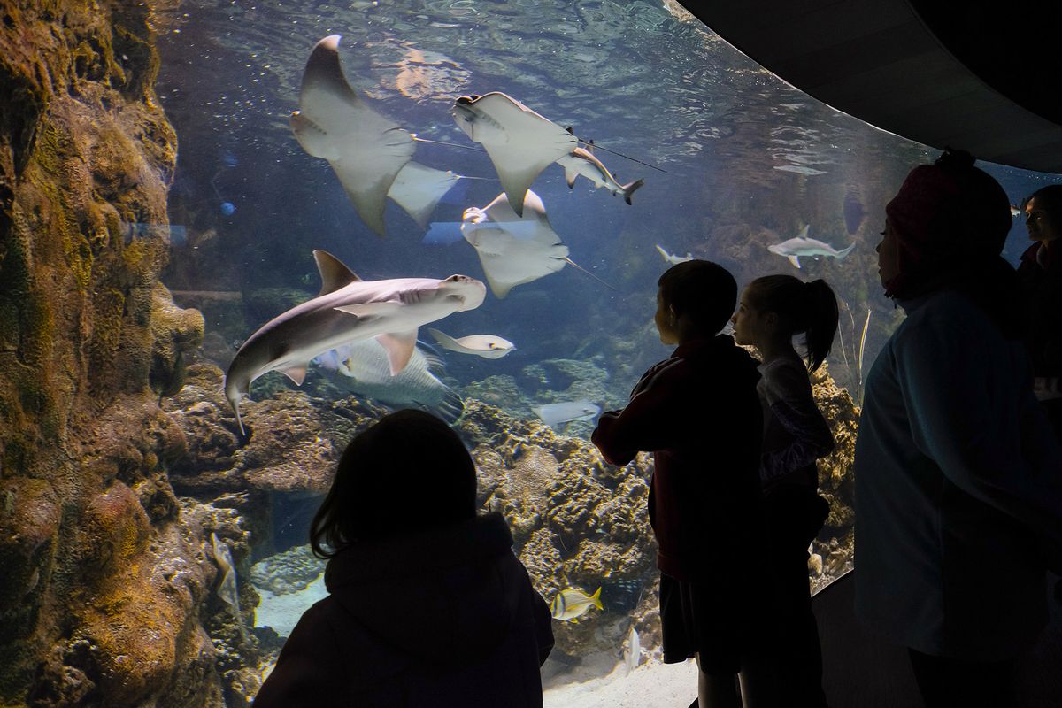 Henry Doorly Zoo & Aquarium / Zdjęcie dzięki uprzejmości Odwiedź Omaha