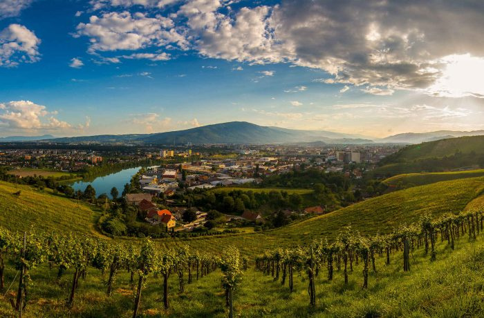 دليل محبي النبيذ إلى سلوفينيا ، من جبال الألب إلى البحر الأدرياتيكي