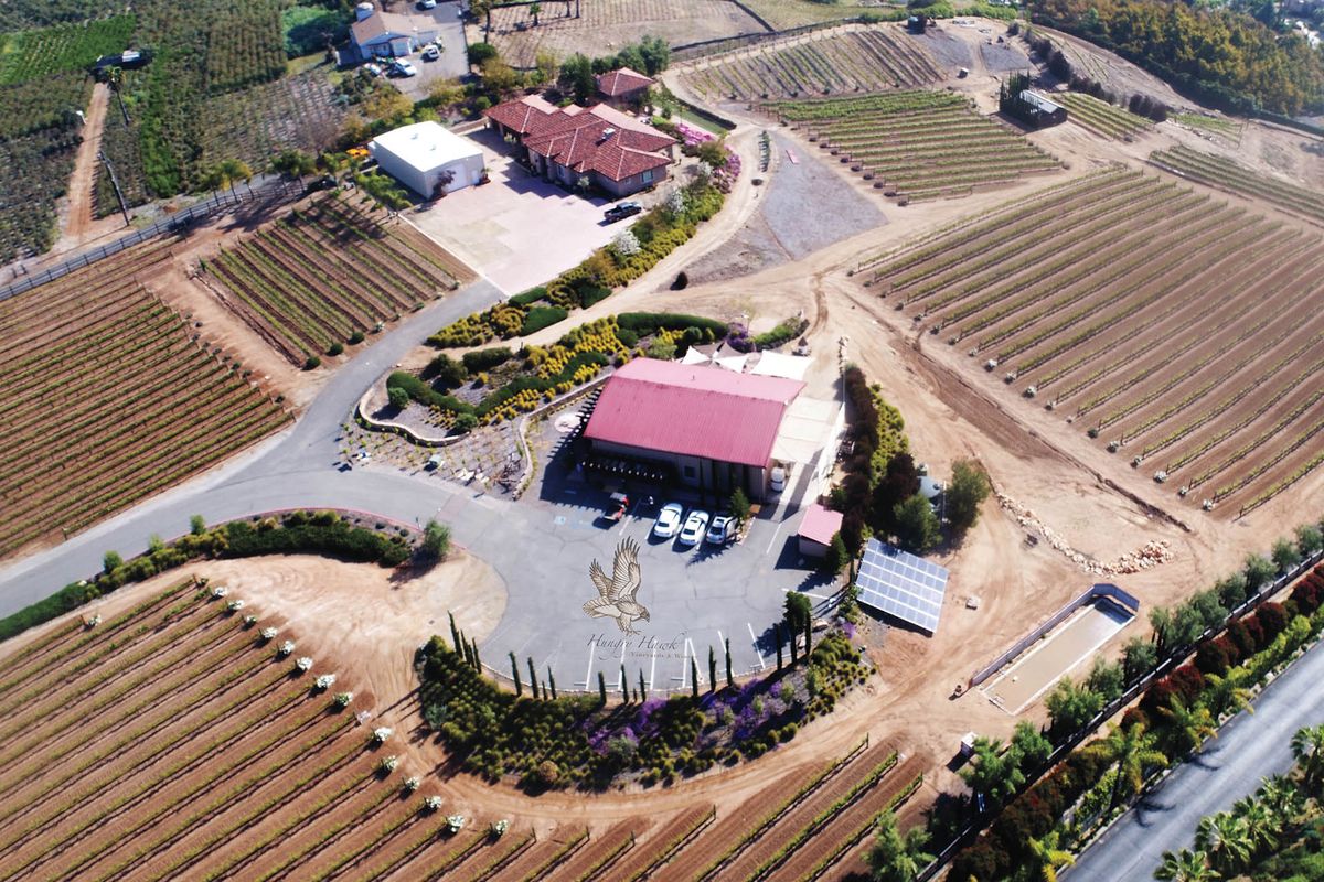 مزارع الكروم ومصنع النبيذ الجائع هوك