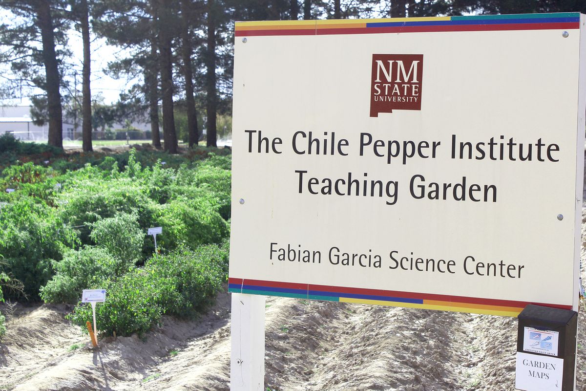 Čileanski institut za papriku na Državnom sveučilištu u Novom Meksiku