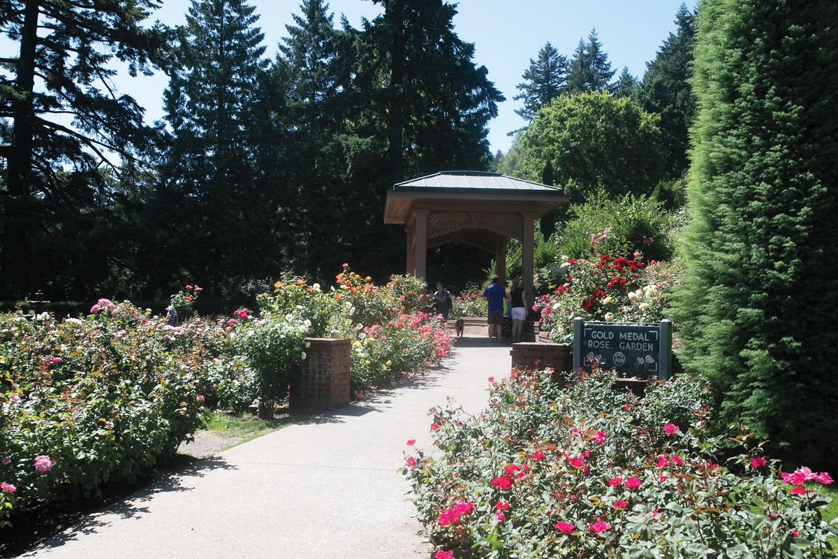 オレゴン州ポートランドの国際バラ試験庭園
