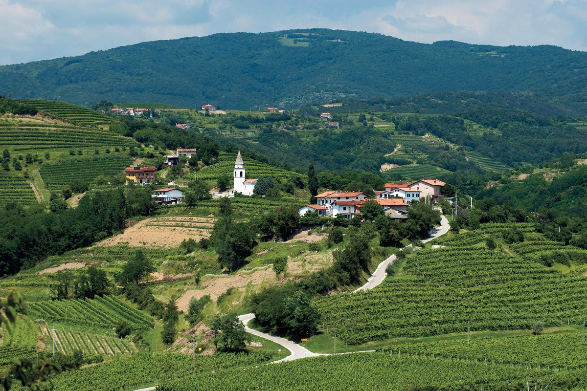 Pemandangan dari dekat Medana, Slovenia