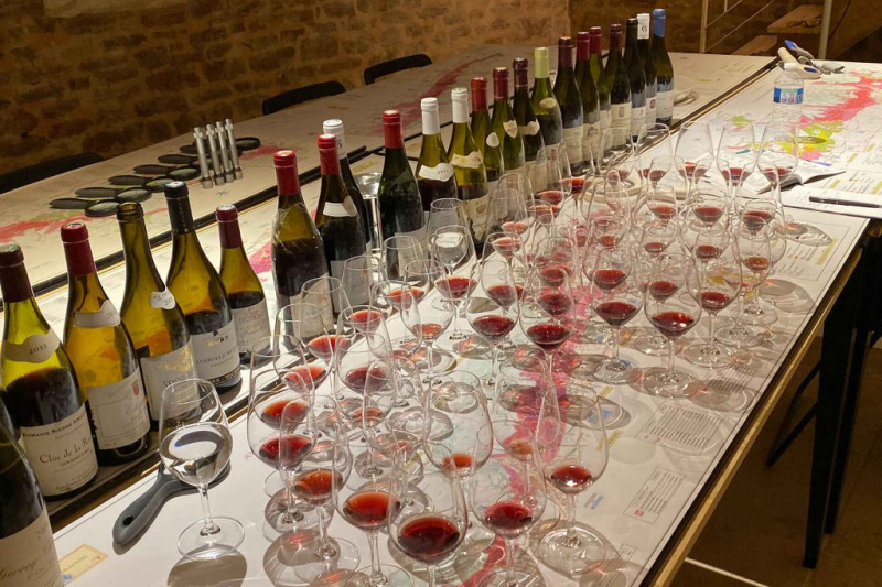   Escuela de vinos de Borgoña