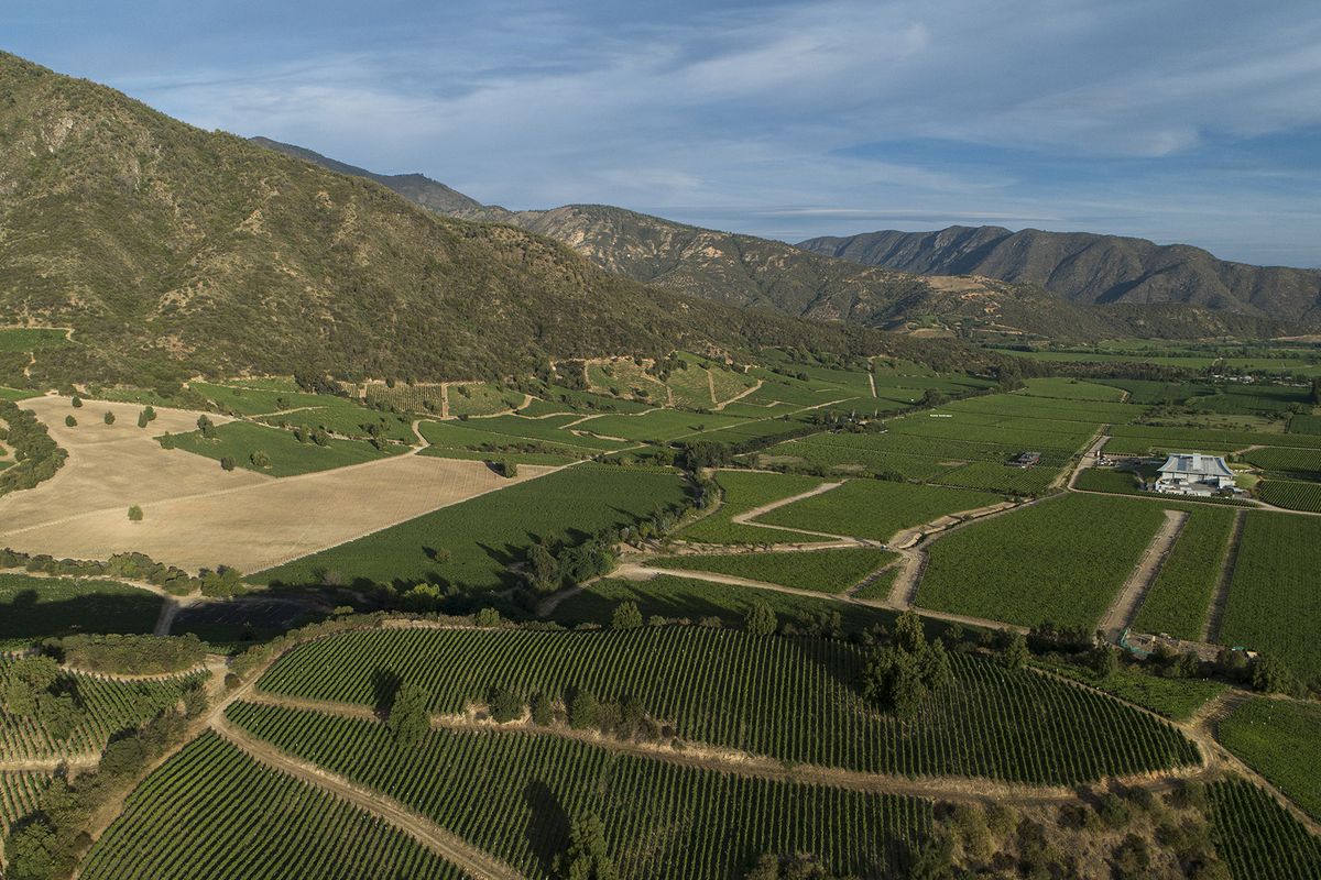 Flygfoto över vingårdar med berg i bakgrunden