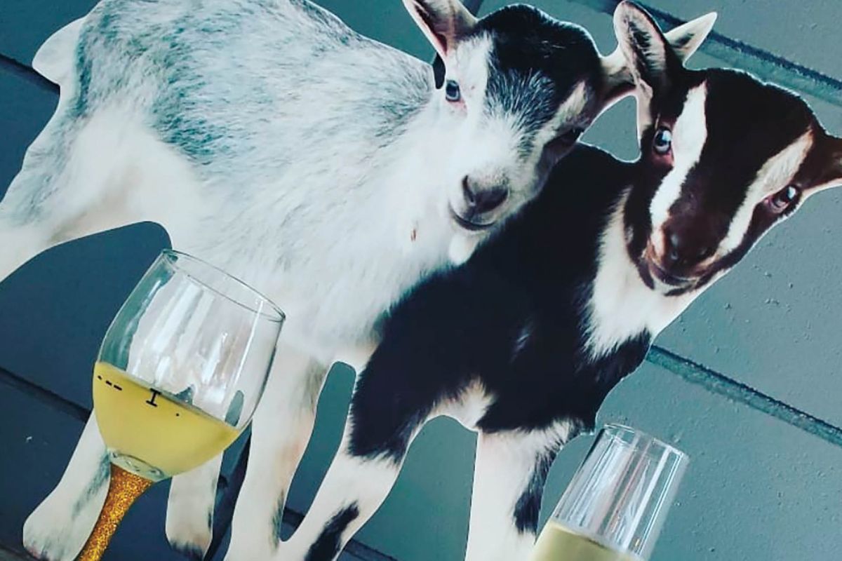 Due bicchieri di vino davanti al ritaglio di due capre