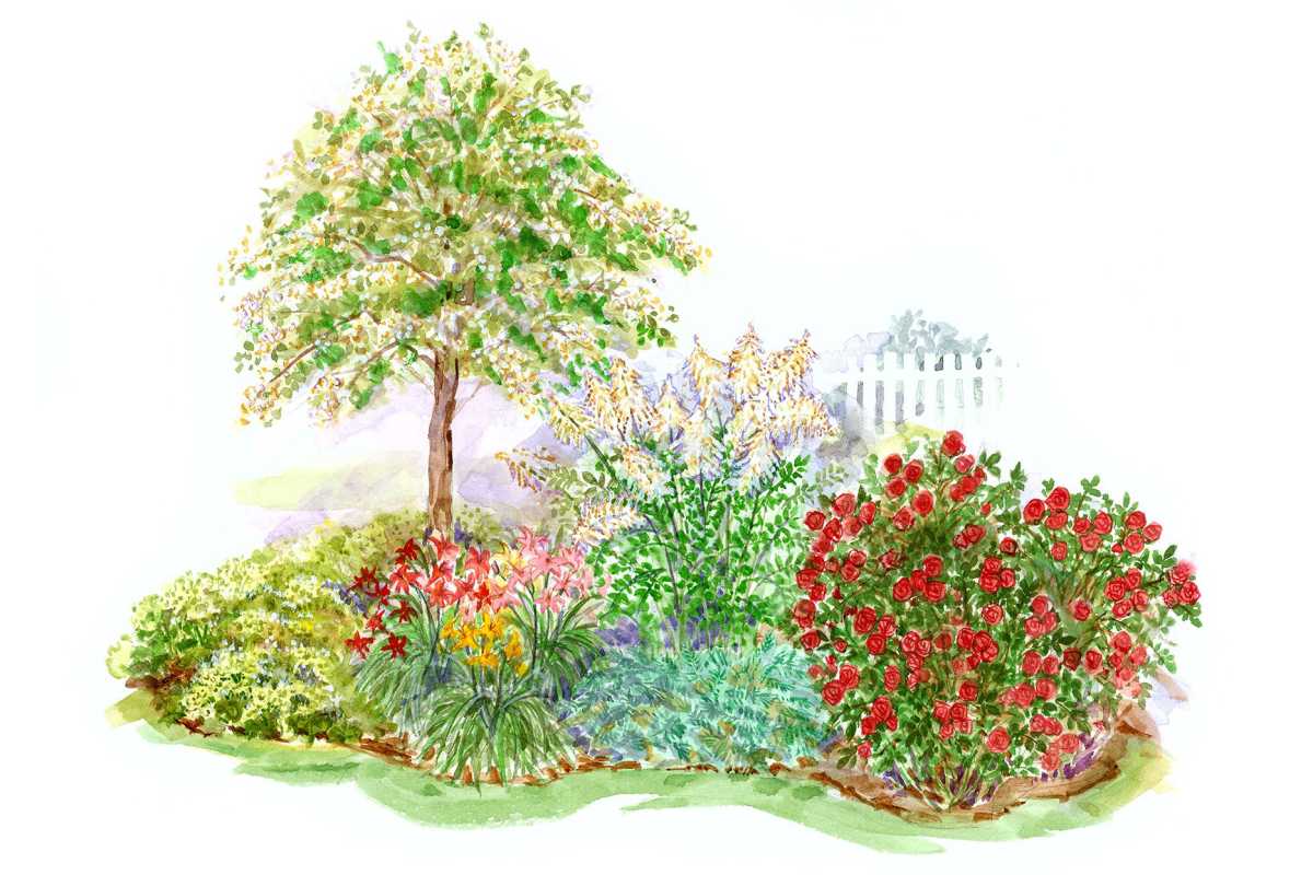 илюстрация на градински план с глинеста почва