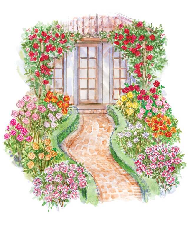 Plano del jardín de rosas del patio delantero