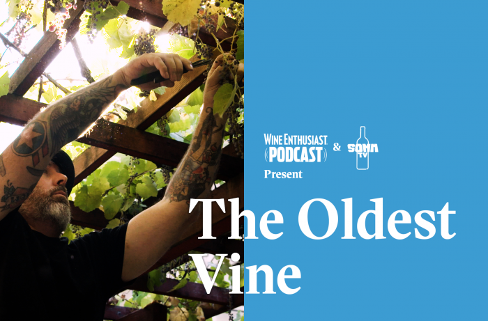 Vyno entuziastų podcast'as: stebina seniausio pasaulyje vynmedžio, vis dar gaminančio vyną, vieta