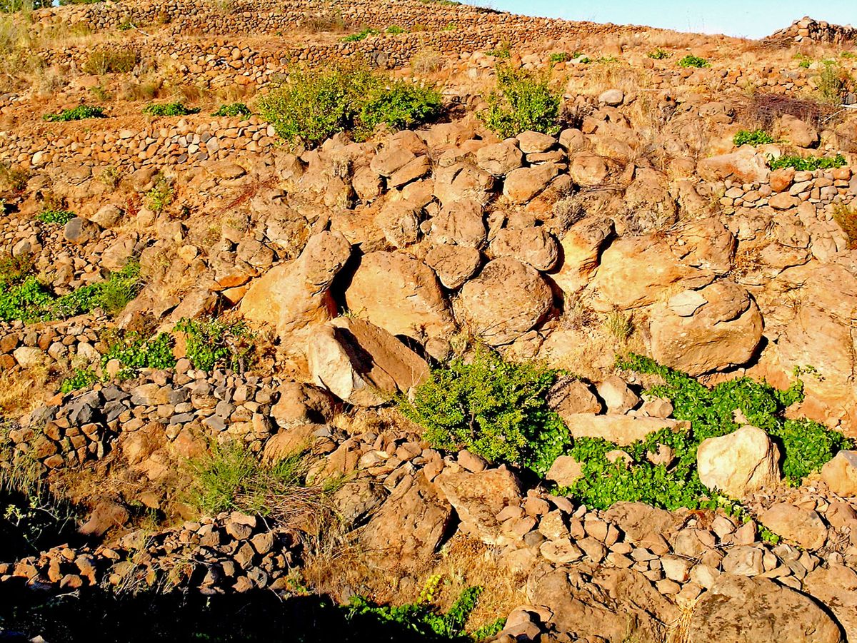 El difícil terreny de la Bodega Frontos a Tenerife, Illes Canàries