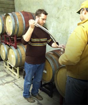 Jordan Harris, vinprodusent og daglig leder i Tarara Winery