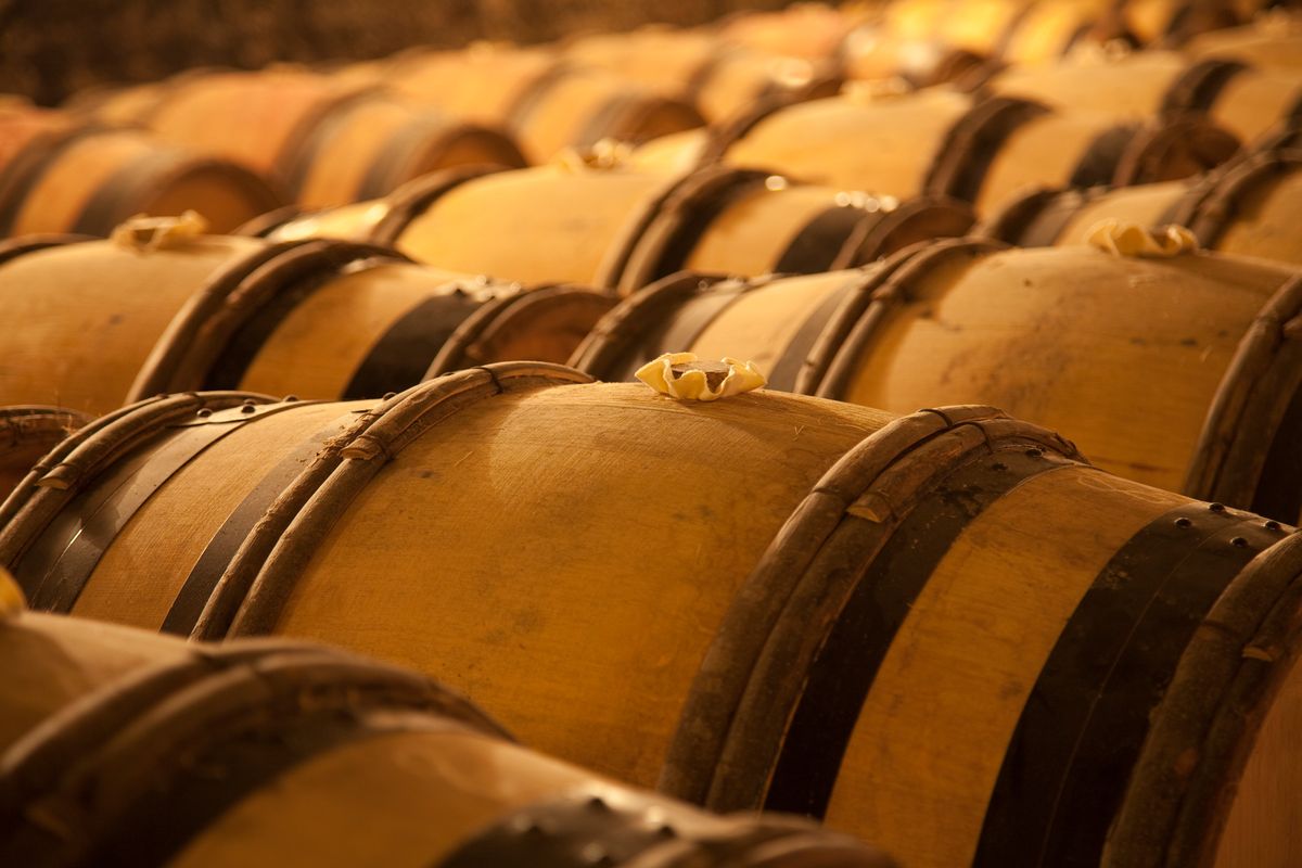Primer plano de barriles de vino