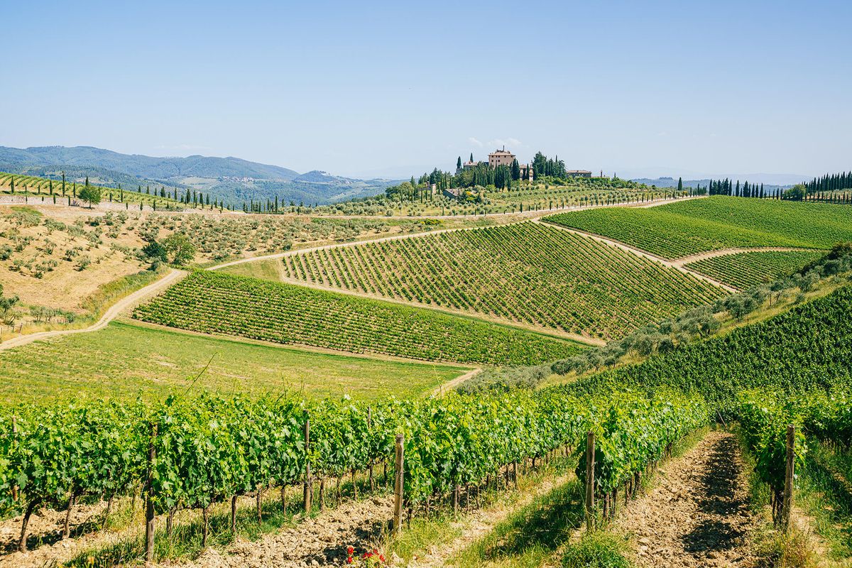 Rullende vingårder med et toskansk hus i bakgrunnen