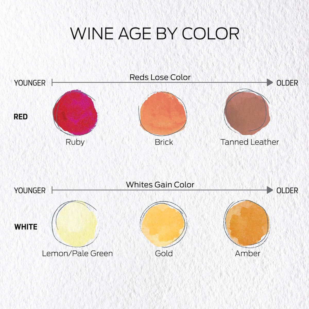 Colores de vino tinto de joven a viejo: rubí, ladrillo, cuero curtido. Colores de vino blanco de jóvenes a viejos: limón / verde pálido, dorado, ámbar
