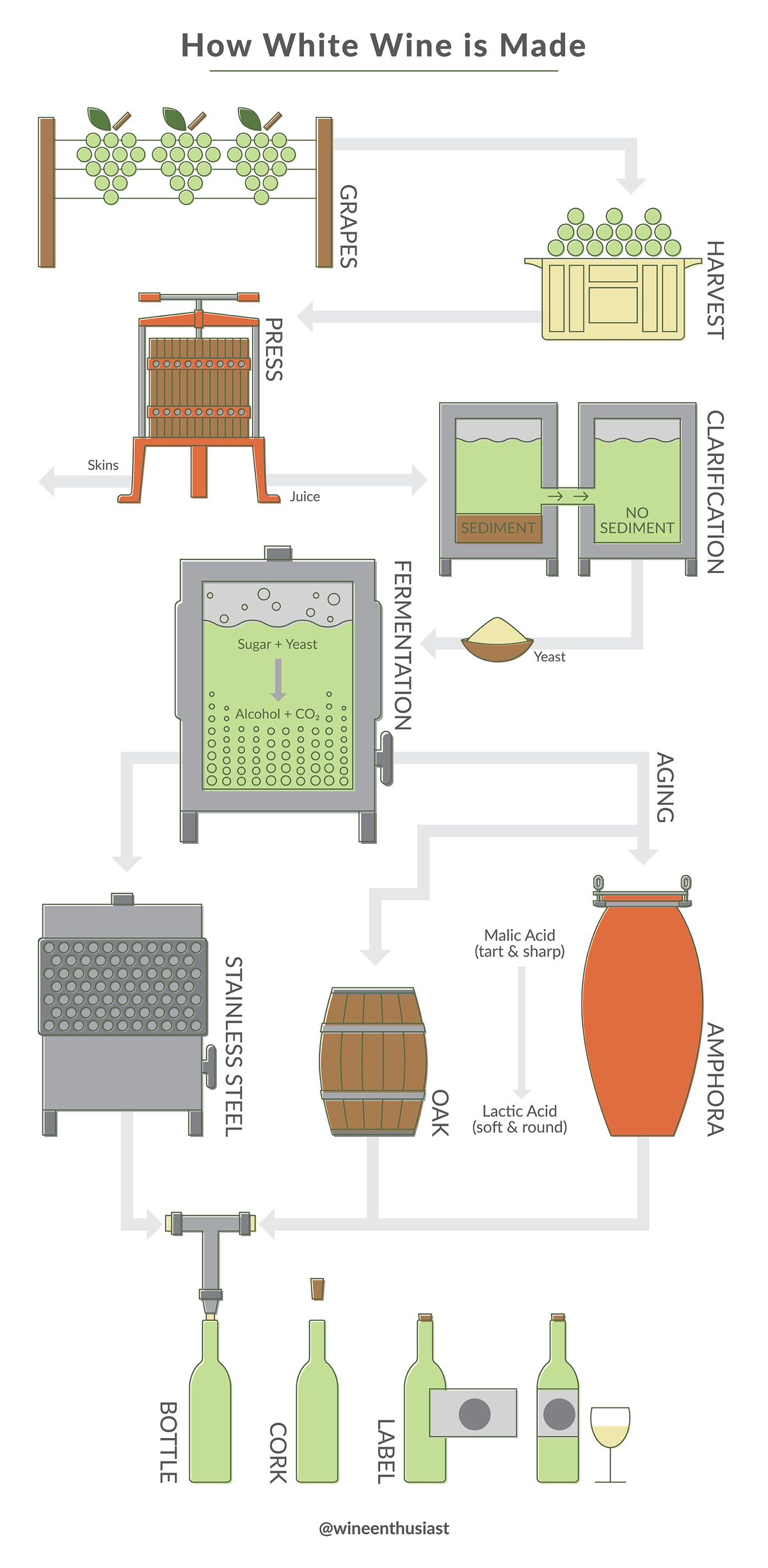 白ワインの作り方のステップのインフォグラフィック
