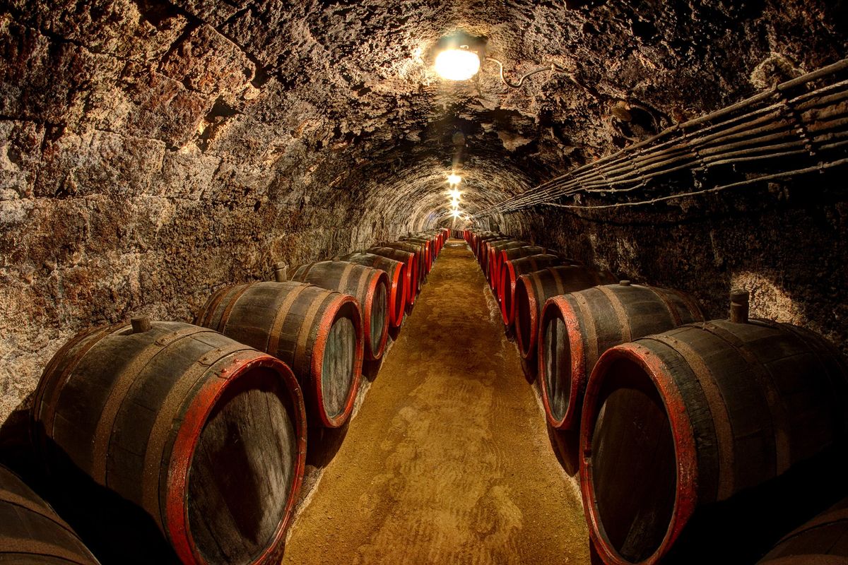 Слатка вина одлежавају у подруму у Токају, Мађарска / Гетти