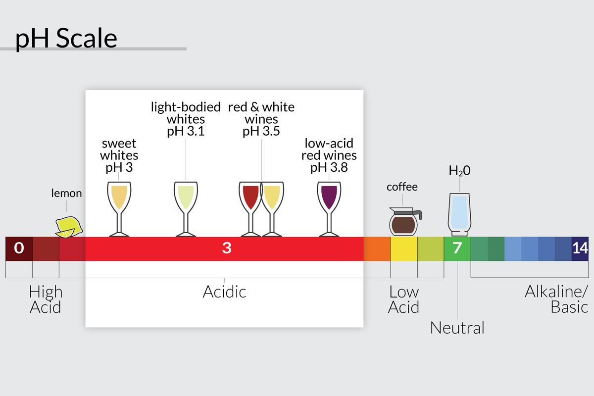 Kaj je kislost v vinu?