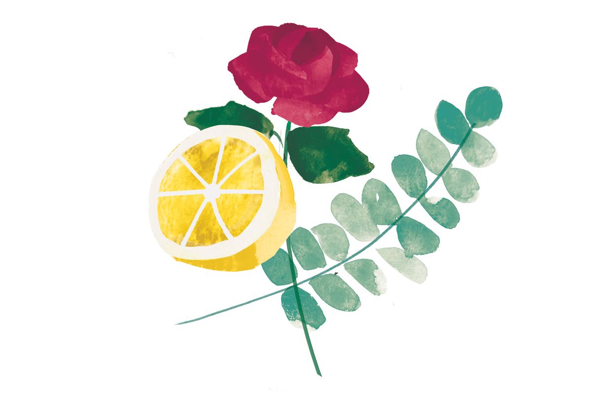 Ilustración de limón, hojas de eucalipto y rosa.