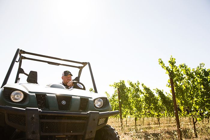Dustin Dusschee, utforsker vingården / Foto av Chris Low
