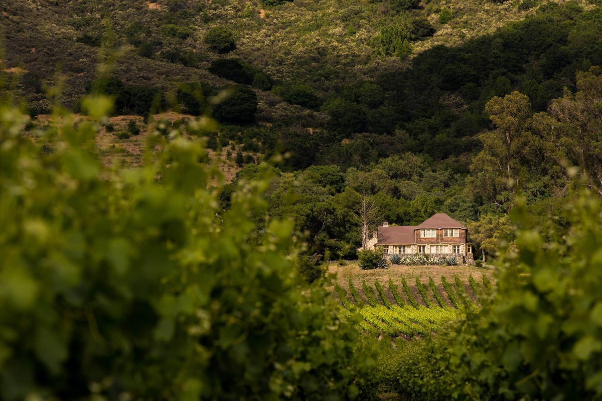 Fjärrskott av hus med vingårdar