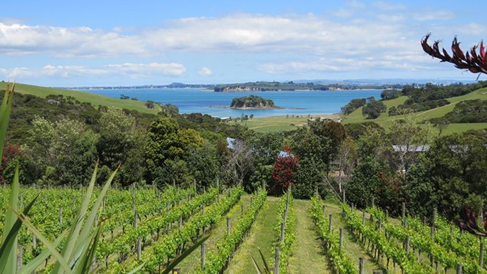 Uusi-Seelanti esittelee maantieteelliset merkinnät 18 viinialueelleen