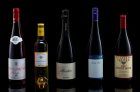 16 af de bedste Pinot Noirs, vi drak i år