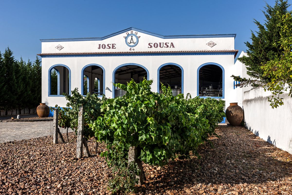 Detrás de los vinos de ánforas tradicionales de Portugal