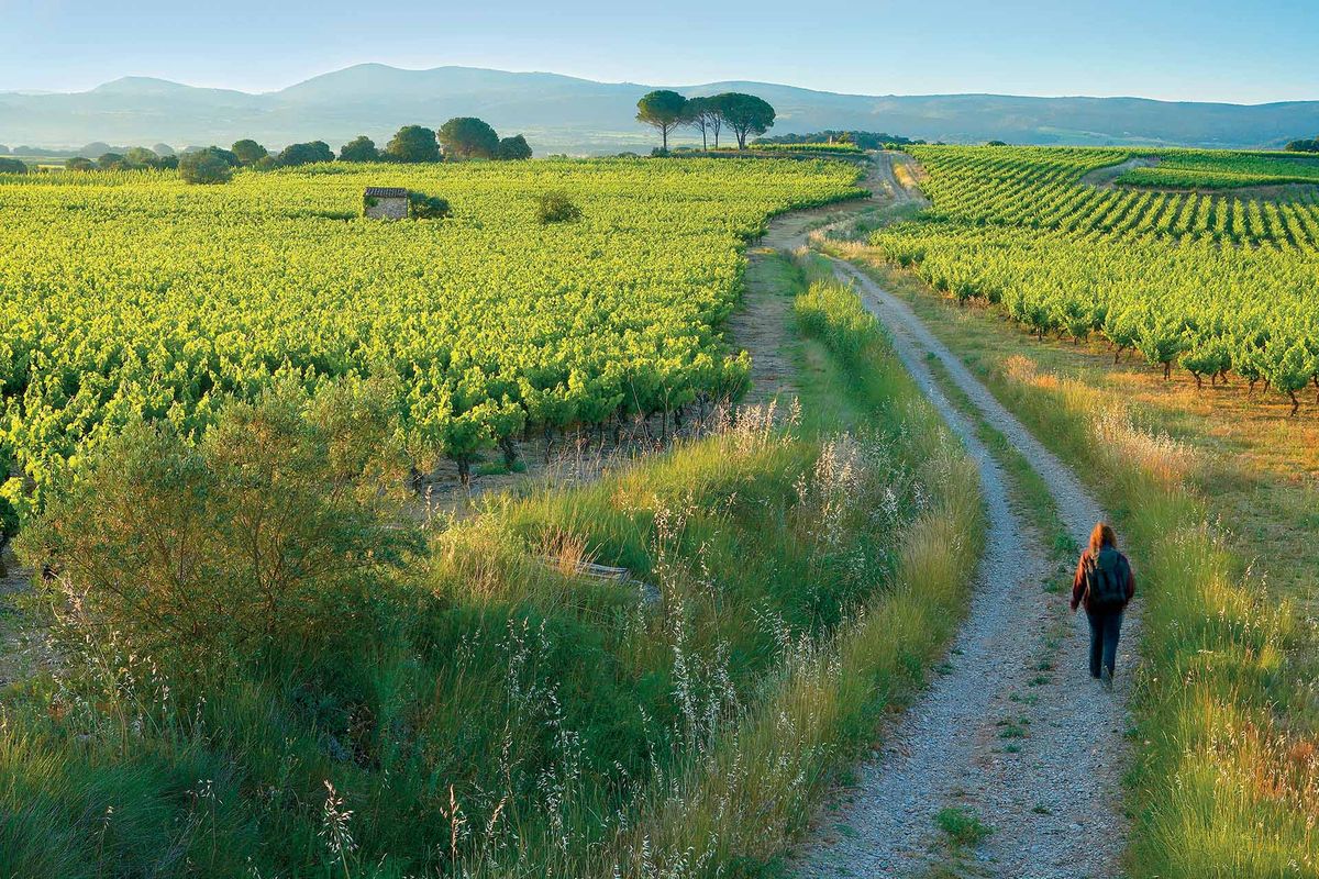 Un caminante en el valle de Herault, Languedoc Francia