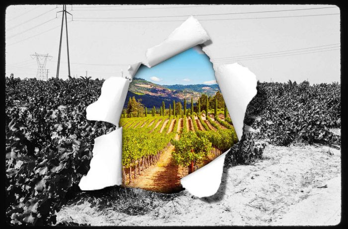 Lembah Cucamonga: Di Pinggir LA, Area Anggur yang Terlupakan Lahir Kembali