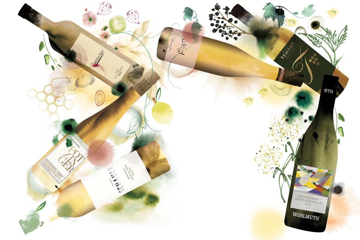ilustración acuarela botellas de vino