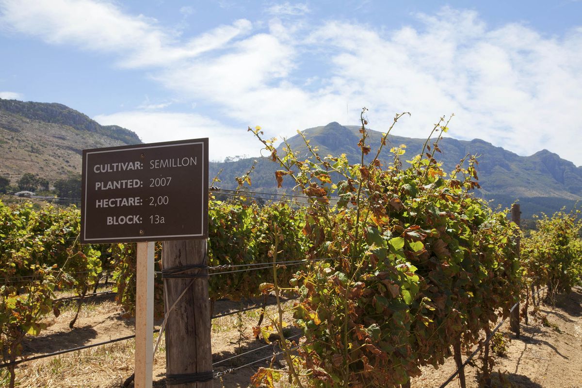 Знак за винарна Южна Африка