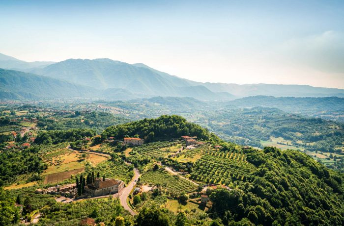 Il vino più popolare in Abruzzo è un rosato