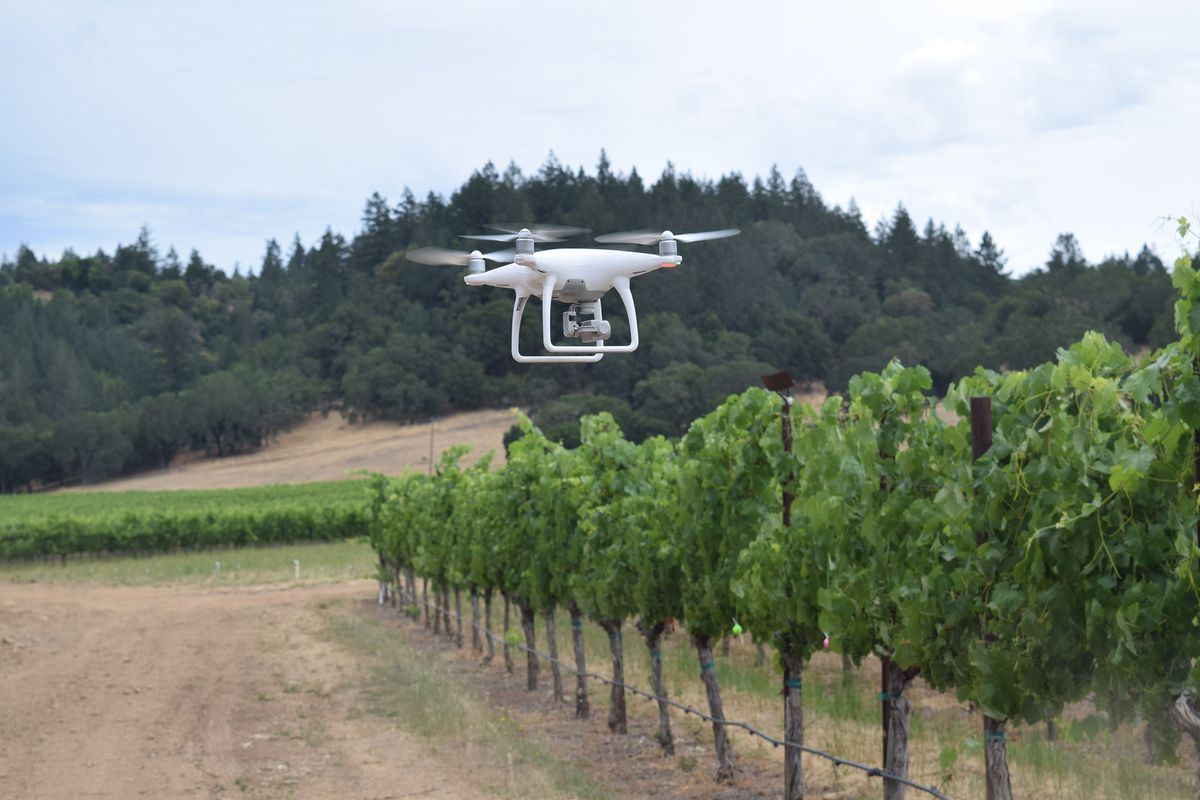 Un dron blanc volant directament per sobre d’una filera de vinyes