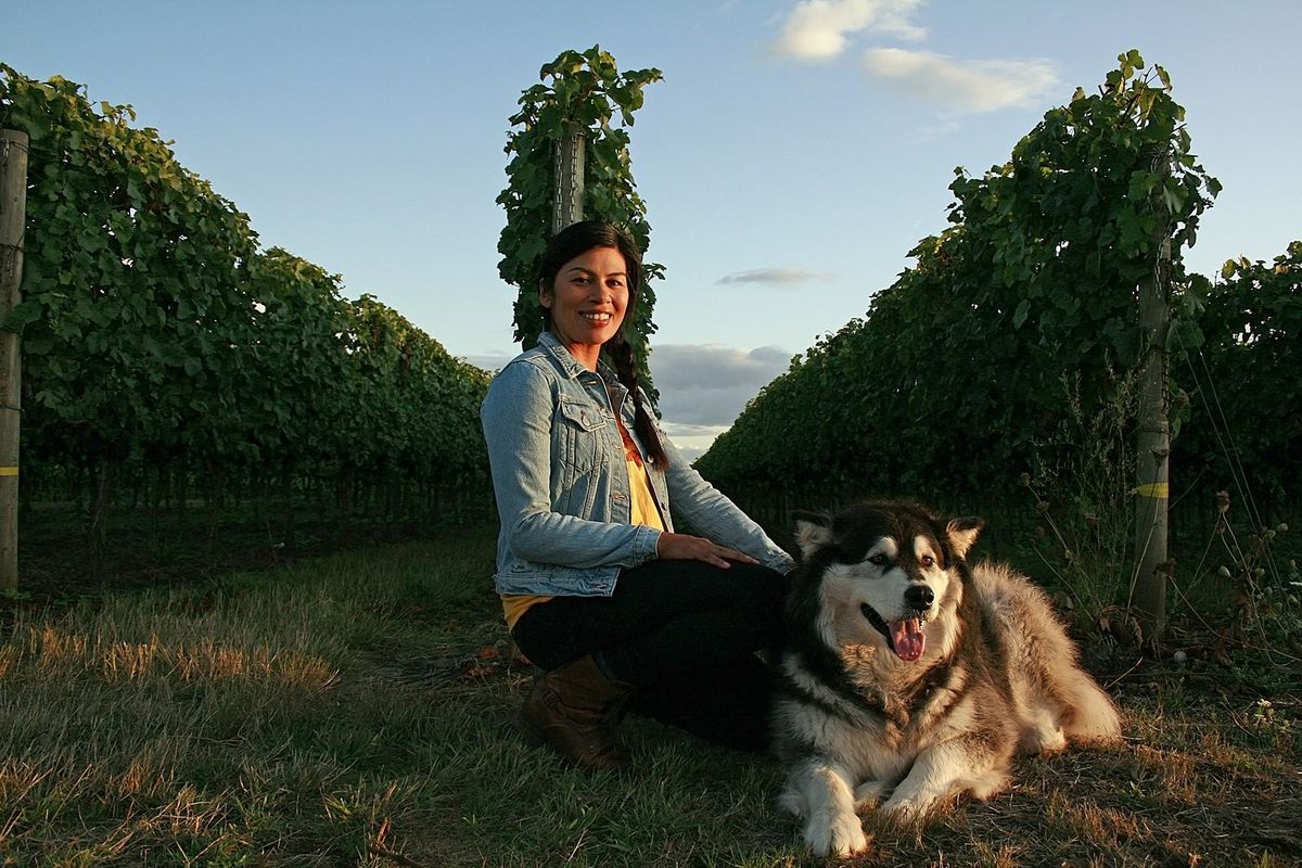 Ženska in haski na koncu vinogradniške vrste