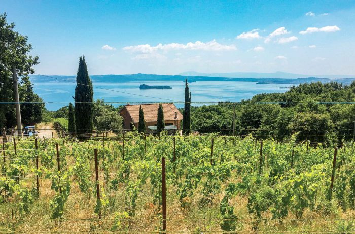 Uue elu sissehingamine Lago di Bolsena iidsetesse veinidesse