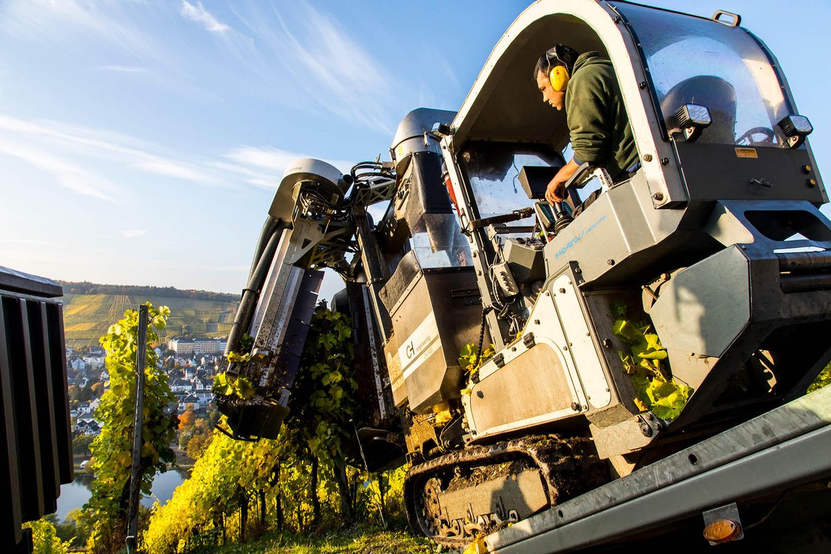 Kleine tractor voor het oogsten van steile wijngaarden