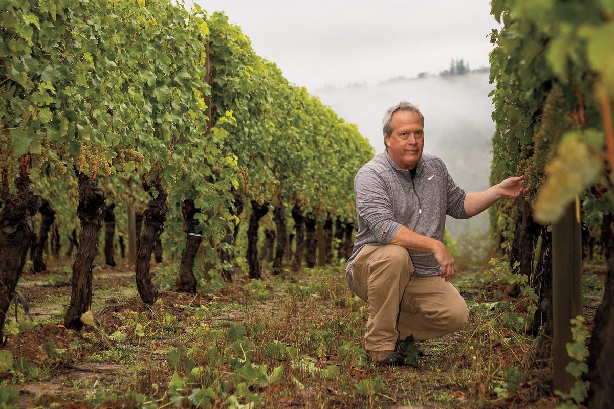 Джим Андерсон стоит на коленях в винограднике со спелым виноградом