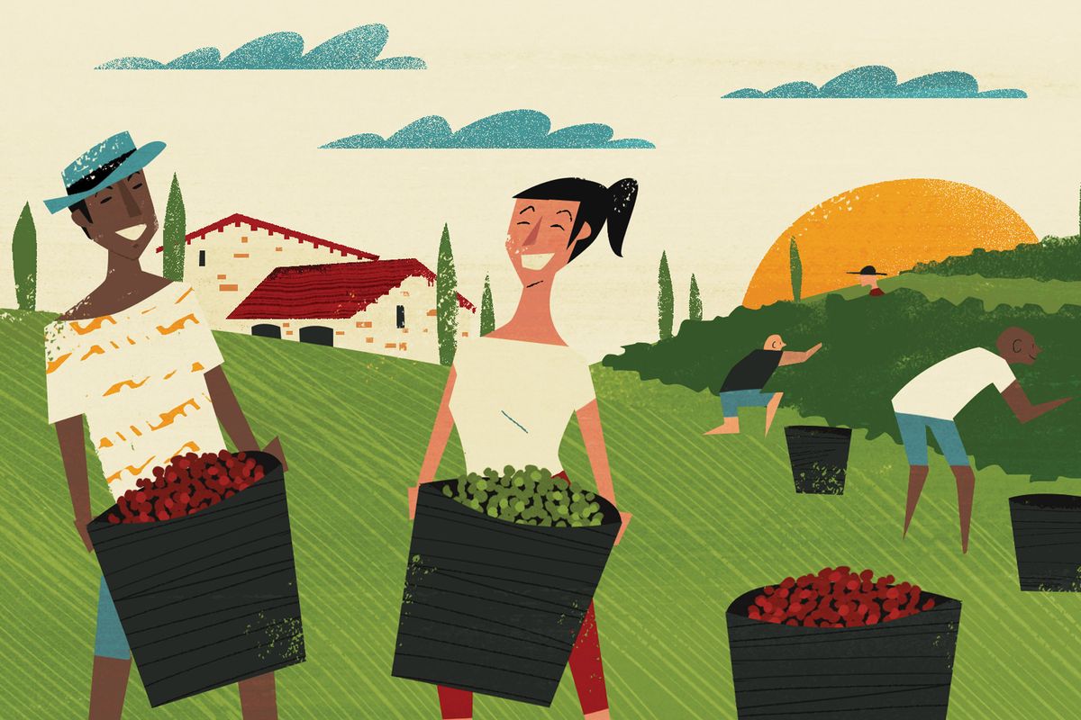 Иллюстрация людей, собирающих урожай.