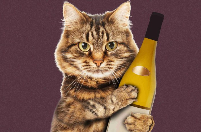 Nurrutav sidumine: kassid ja veinitootjad loovad olukorra, kus võidavad võidavad