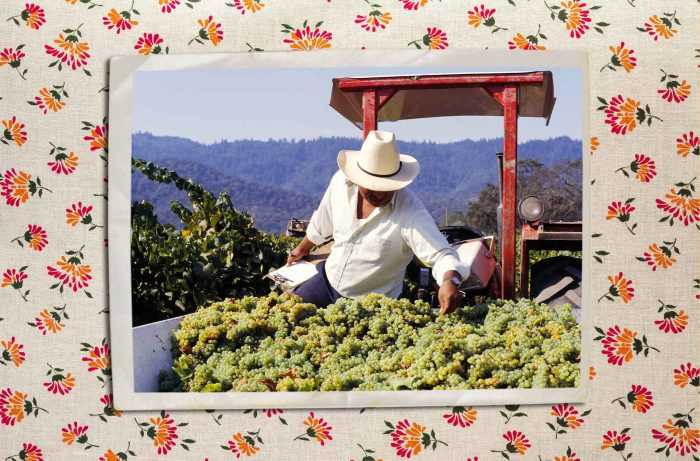 Cabernet'n kuningas: Napa Valley's Rise to Wine Stardom