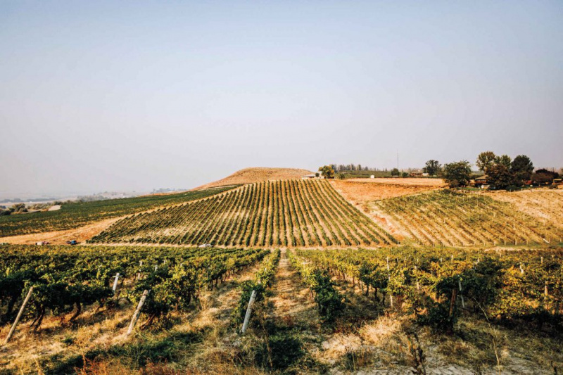   SnakeRiver AVA Parma Ridge Winery بالقرب من بارما