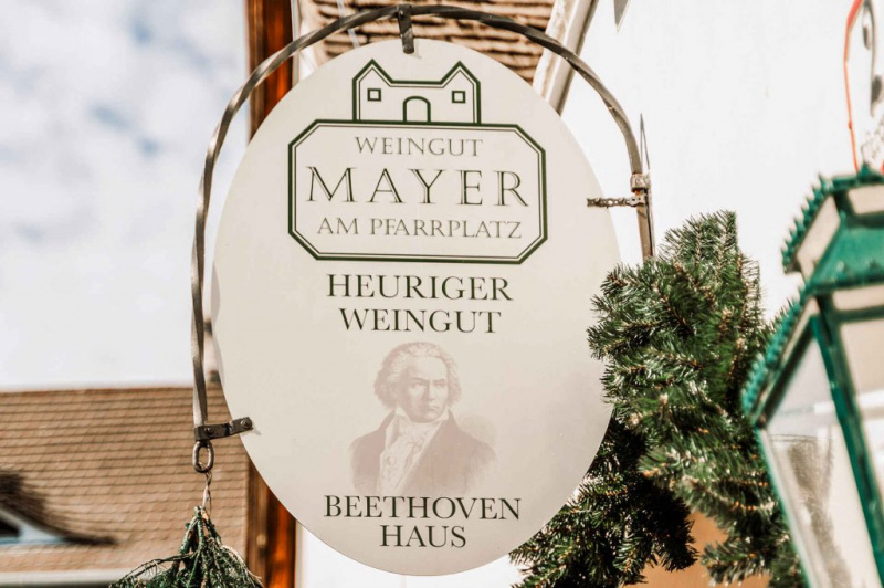   Xưởng rượu vang Mayer Am Pfarrplatz