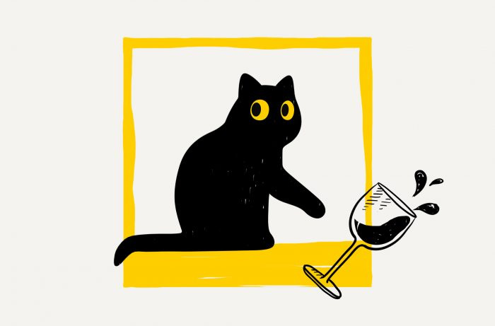 The Cat's Meow: 16 vingårder, bryggerier og destillerier som støtter katteårsaker