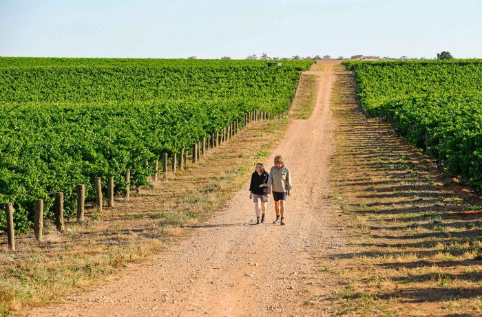 Riverland de Australia replantea su modelo de vino a granel