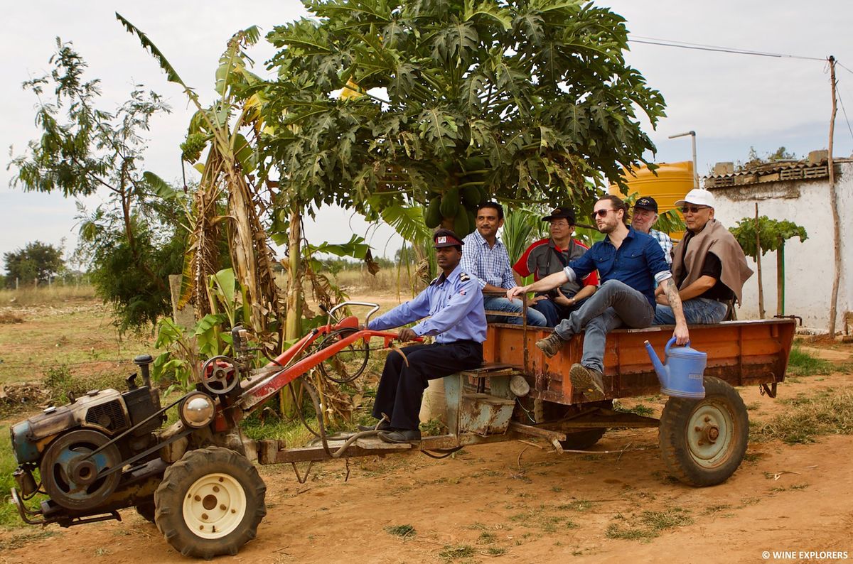 Brauciens ar Grover Zampa Vineyards, Indija / Foto pieklājīgi Wine Explorers