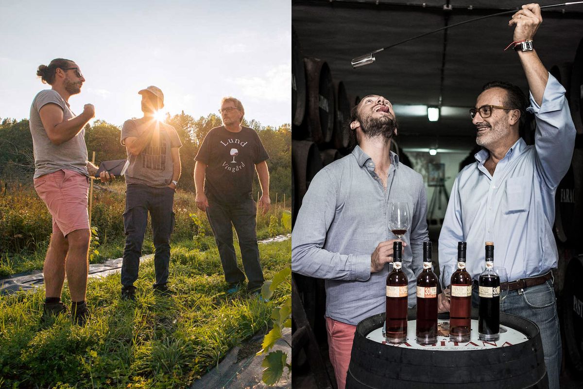 Kairėje: Lundo Vingårdo, Norvegijos, vynuogynų tyrinėjimas Brice Garcin nuotr. / Dešinėje: Chereso degustacija „Bodegas Hidalgo La Gitana“. Quentin Huriez nuotrauka