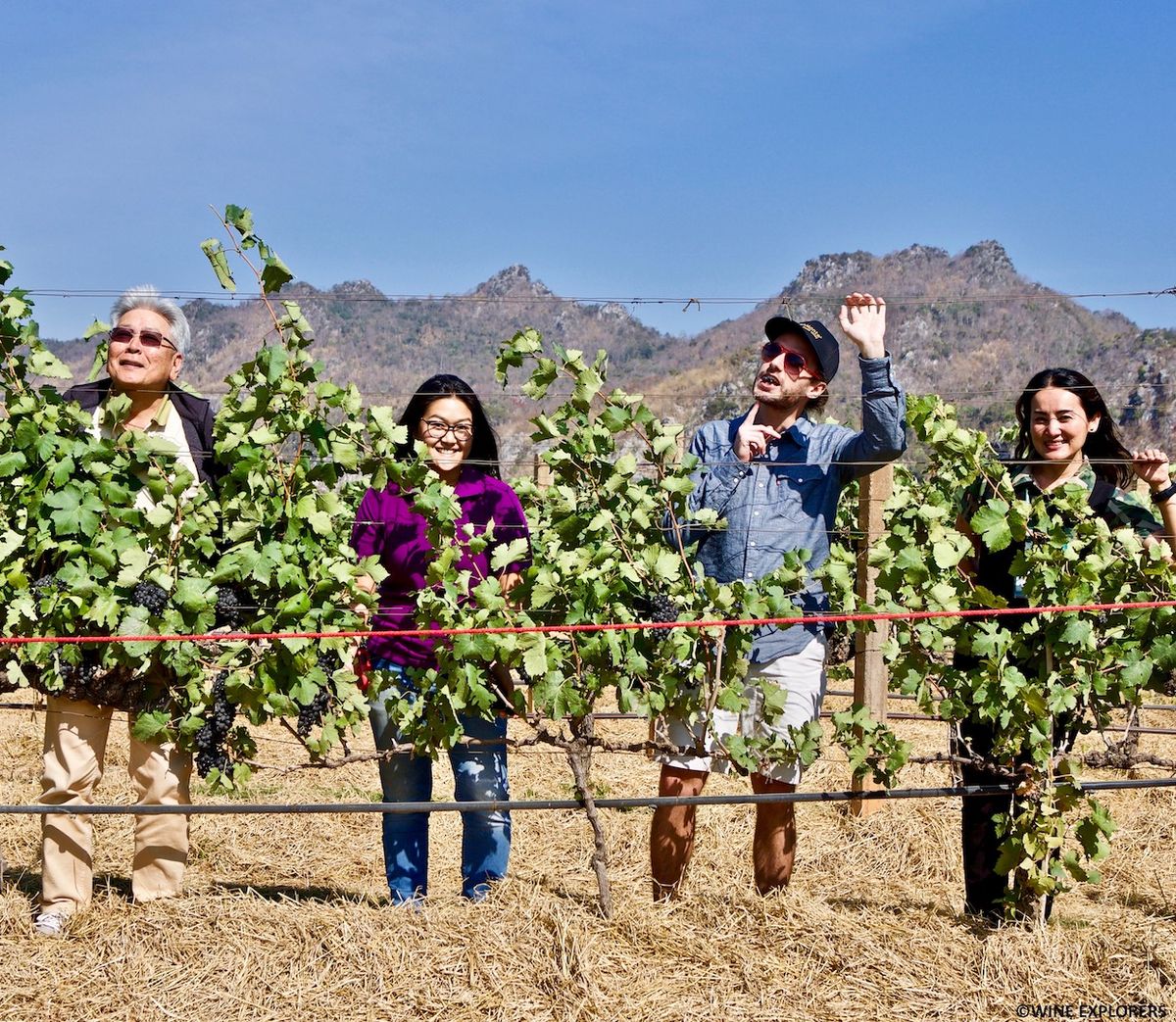 Tai GranMonte viinamarjaistandus ja veinitehas / Foto viisakalt Veiniuurijad