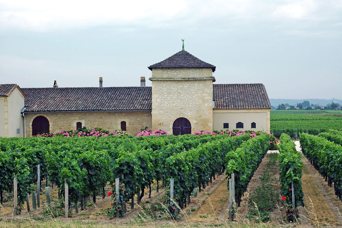 Viinitarha ja maalaistalo Bordeaux