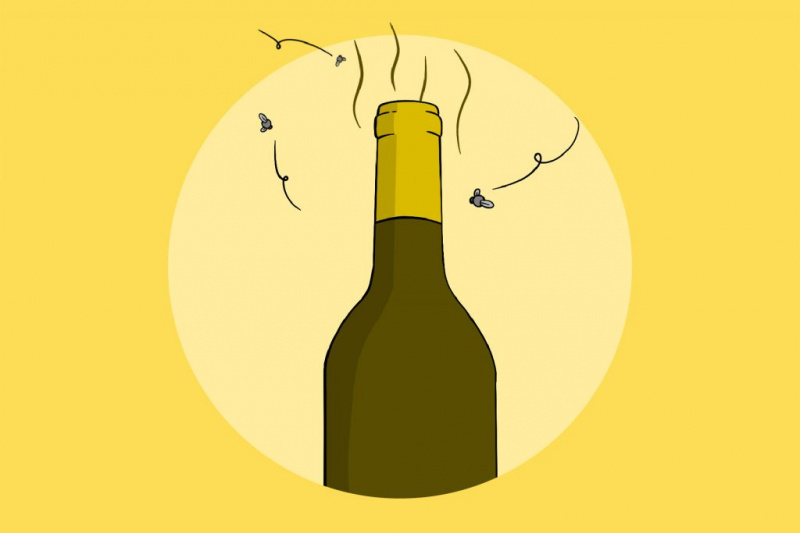   Zapáchajúca fľaša vína s muchami, ktoré ju obklopujú